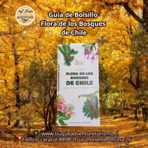GUÍA DE BOLSILLO - FLORA DE LOS BOSQUES DE CHILE
