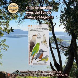 GUÍA DE BOLSILLO - AVES DEL SUR DE CHILE Y PATAGONIA