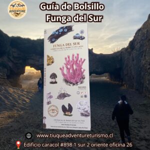 GUÍA DE BOLSILLO - FUNGA DEL SUR