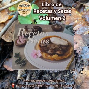 Recetas y Setas Volumen 2