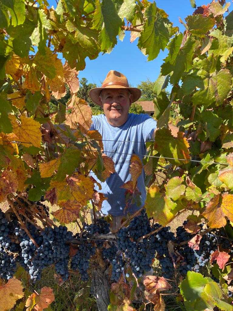 ENOTURISMO VILLA ALEGRE - Imagen 8