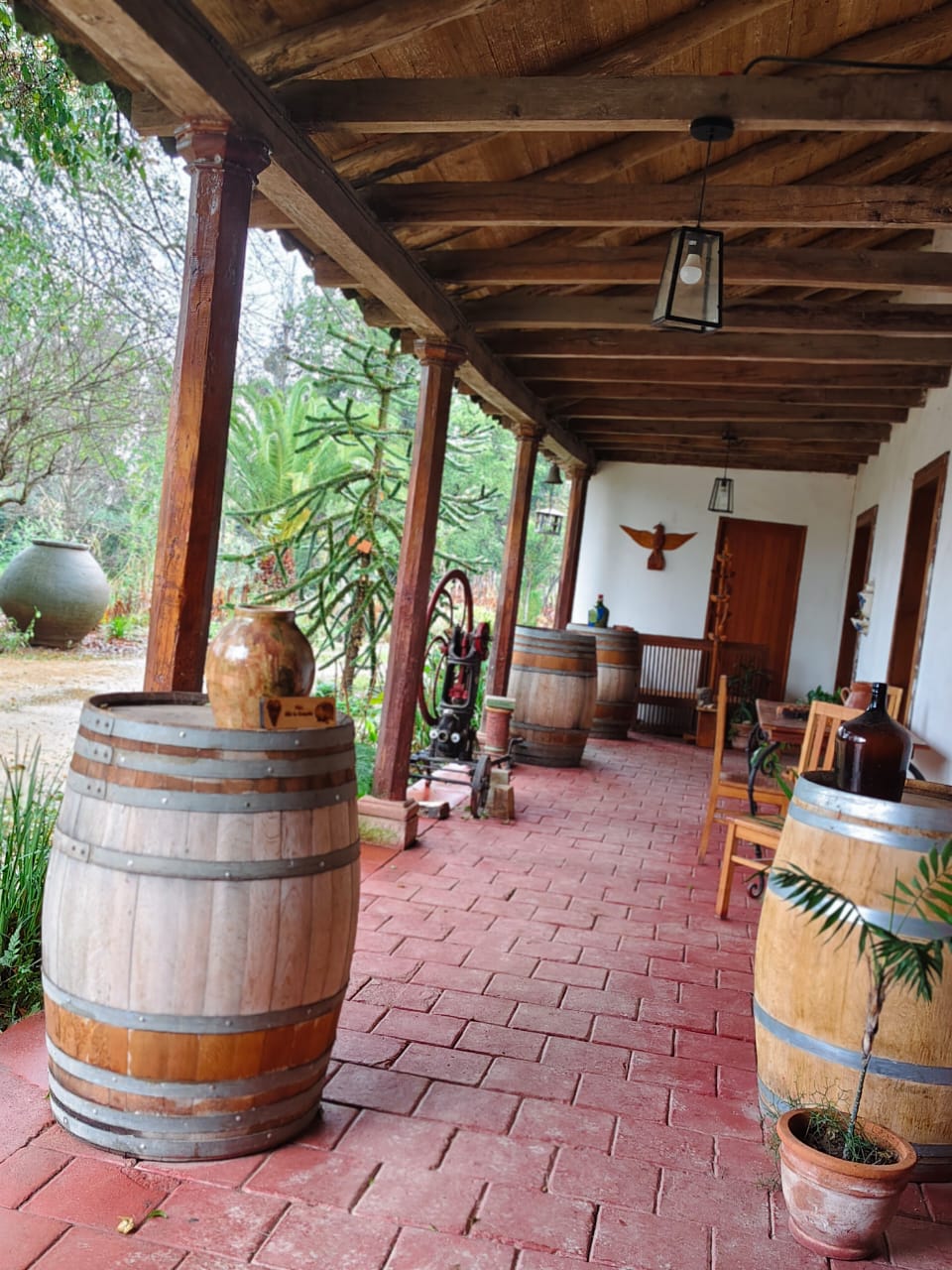 ENOTURISMO VILLA ALEGRE - Imagen 2