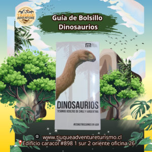GUÍA DE BOLSILLO - DINOSAURIOS