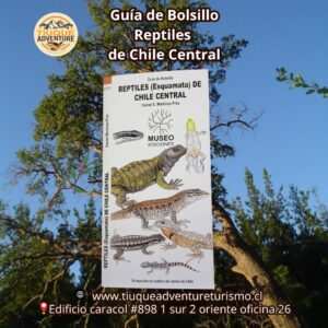 GUÍA DE BOLSILLO - REPTILES DE CHILE ZONA CENTRAL