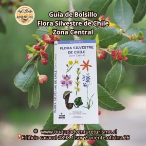 GUÍA DE BOLSILLO - FLORA SILVESTRE DE CHILE ZONA CENTRAL