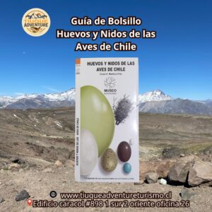 GUÍA DE BOLSILLO - HUEVOS Y NIDOS DE LAS AVES DE CHILE