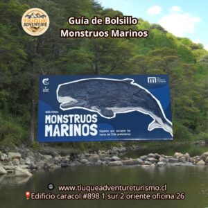 GUÍA DE BOLSILLO - MONSTRUOS MARINOS