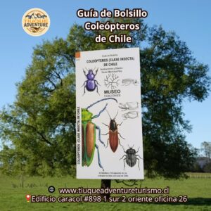 GUÍA DE BOLSILLO - COLEÓPTEROS DE CHILE
