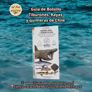 GUÍA DE BOLSILLO - TIBURONES, RAYAS Y QUIMERAS DE CHILE