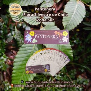 PANTONERA - FLORA SILVESTRE DE CHILE ZONA SUR