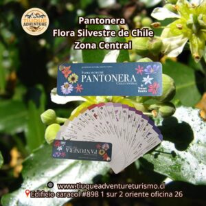 PANTONERA - FLORA SILVESTRE DE CHILE ZONA CENTRAL