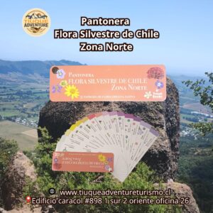 PANTONERA - FLORA SILVESTRE DE CHILE ZONA NORTE