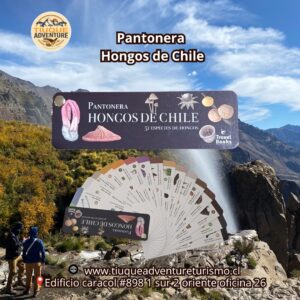 PANTONERA - HONGOS DE CHILE