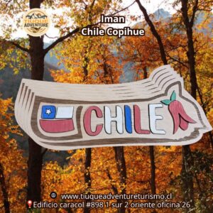 IMÁN CHILE COPIHUE